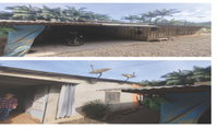 Terreno Rural com 272.500m² em Vitor Meireles, SC