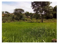 Terreno com 20.305 m²