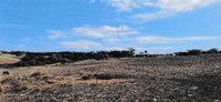 Gleba Rural 10,91 ha - Fazenda Santa Rita