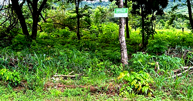 Terreno em Nortelândia - MT