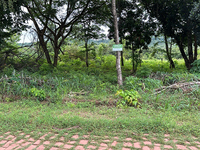 Terreno em Nortelândia - MT