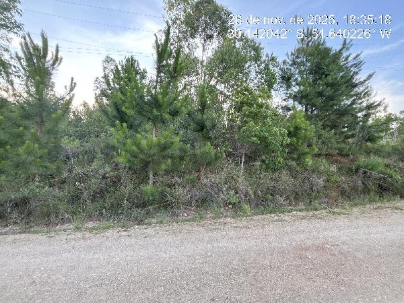 Terreno rural com 2.424m², ideal para investimento
