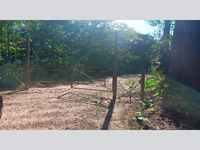 Terreno em Abaetetuba com 151.177m²