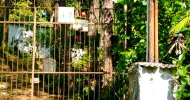 Terreno amplo de 16.450m² com pequena edificação, desocupado