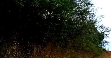 Terreno Industrial com 750,13 m² em Ampére - PR