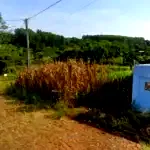 Terreno de 278,81m² no Loteamento Malvessi - Oportunidade!