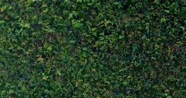 Casa com 4 Quartos e 238m² Construída em Jundiaí