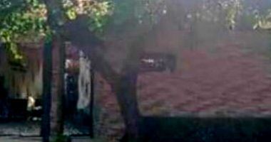 Casa Ocupada com Desconto à Vista em Campo Grande/MS