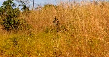 Terreno Urbano com 300m² em Luziânia/GO