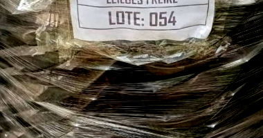 Ventoinhas do Sistema de Arrefecimento CH 11691 - Lote 054
