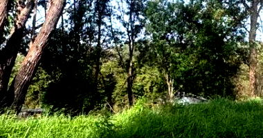 Terreno com 522,68m² em Ponta Grossa - PR