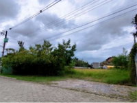 Terreno 1.000 m² em São Sebastião - SP