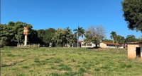 Área rural de 50 hectares com benfeitorias estratégicas em Itápolis/SP