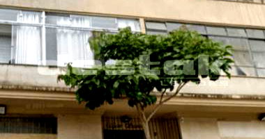 Apto Ed. Aliança - Santa Efigênia/SP com 104m²