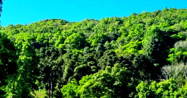 Fração de terras de cultura em Floriano Peixoto/RS