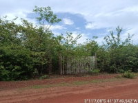 Terreno 6.000m² em Bom Princípio do Piauí - Oportunidade Rural
