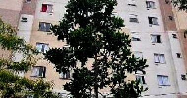 Apartamento com 2 quartos, 1 banheiro e 1 vaga