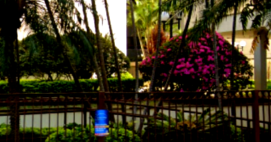 Apartamento com 3 quartos em São Paulo