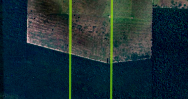 Fazenda rural de 104,95 ha com mata e pasto