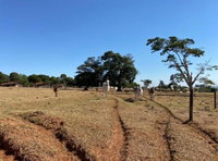 Imóvel Rural com 9,68 ha em Martinópolis/SP