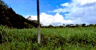 Imóvel Urbano com 904,40m² em Ariquemes/RO