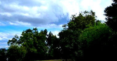 Terreno Comercial com 1.308m² em Lages-SC