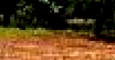 Terreno Desocupado em Marau/RS