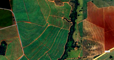 Sítio com 76 hectares em Inhumas/GO com casa e curral