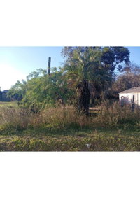 Terreno 500m² em Cacequi/RS - Rua das Tropas