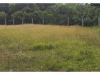Área Rural com 7,13ha e benfeitorias, ocupada