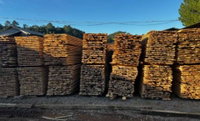 Madeira de pinus para embalagens