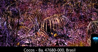 Fazenda Bela Vista às Margens do Rio Carinhanha