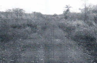 Fazenda Jerusalém com 1007,15 hectares em Monte Santo do Tocantins