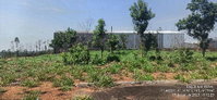 Terreno em Loteamento Empresarial com Área de 1.175m²