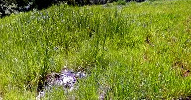 Lote Urbano de 346m² no Jardim Neman Sahyun