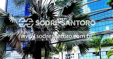 Sobreloja no Ed. Lumina Offices com Vaga de Garagem