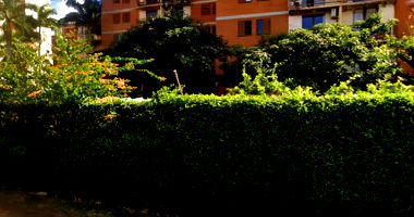 Apto no Ed. Oxford - 76,69 m² - Ribeirão Preto-SP