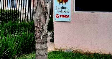 Apartamento 2 Quartos em Santa Cruz - Oportunidade Imperdível!