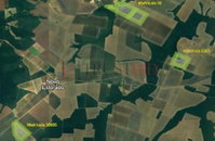 Áreas Rurais em Tapurah/MT e Lucas do Rio Verde/MT