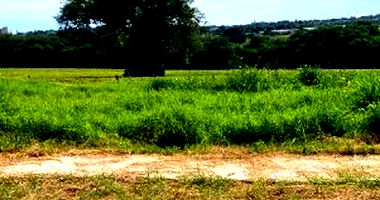 Terreno em Marialva com 576,02m² em localização privilegiada