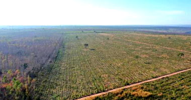 Fazenda Três Riachos com 1630 ha totalmente ocupada