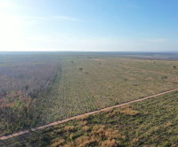 Fazenda Três Riachos com 1630 ha totalmente ocupada