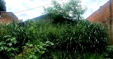 Terreno com 300m² em Uberaba/MG