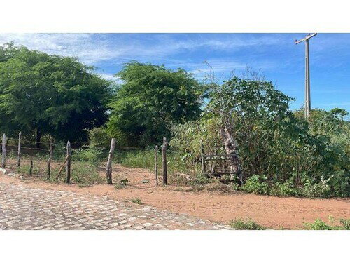 Terreno Amplo em Mel de Baixo, Areia Branca/RN -