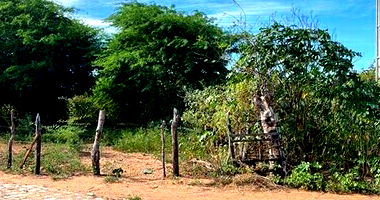 Terreno Amplo em Mel de Baixo, Areia Branca/RN - Desocupado