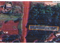 Terrenos em Ponta Porã/MS - 360m² cada