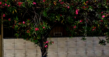 Casa Residencial em Carmo do Cajuru - MG