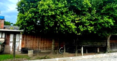 Terreno com Casa de Madeira - 300m² - Vila Ideal