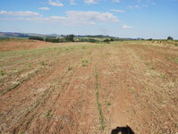 Área Rural de 35,53 Hectares em São Jerônimo da Serra - PR