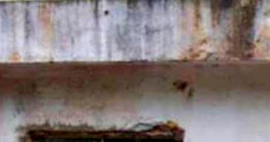 Apartamento Ocupado com 40,71m² em Recife/PE